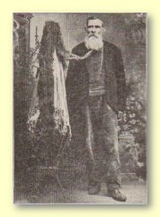 A. Morehead